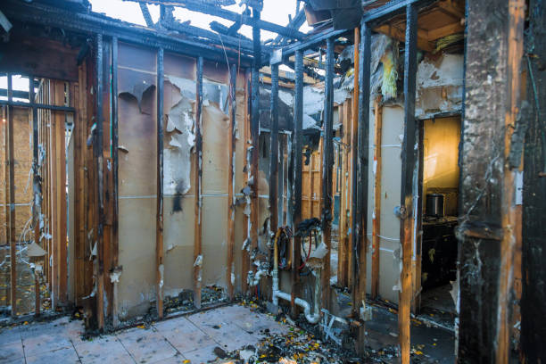 Professional Fire Damage Repair technician working in Upper Sandusky, OH